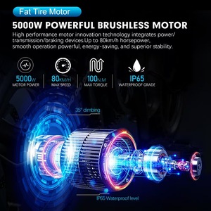 Kit de conversion de moteur de moyeu de <span class=keywords><strong>vélo</strong></span> <span class=keywords><strong>électrique</strong></span> 48/52v 2000w Mtx39 <span class=keywords><strong>avec</strong></span> <span class=keywords><strong>batterie</strong></span> Tiger Shark - Product Image 5