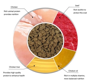 יצרני oem odm מזון לחיות מחמד למבוגרים ולגורים עם מזון כלבים באיכות גבוהה מזון כלבים יבש - Product Image 5