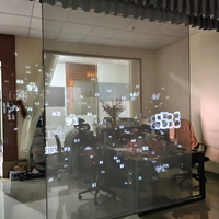 Écran de projection holographique transparent en maille, affichage de projection holographique 3D, voile holographique, projection de scène 8M, hologramme