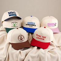 Casquettes de baseball ajustables en coton bicolore pour hommes, avec logo brodé 3D/2D personnalisé, pour sports de plein air, vente en gros, 5 panneaux