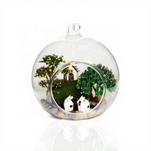 Di alta qualità moderno trasparente globo appeso vaso di vetro terrario alla rinfusa aria interna pianta fiore terrario <span class=keywords><strong>per</strong></span> la casa arredamento ecologico - Product Image 6
