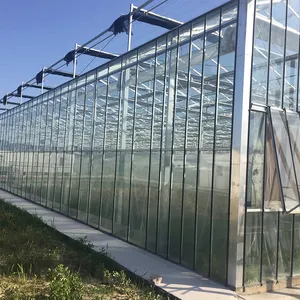 فينلو زجاج متعدد تمتد الدفيئة الزراعية
