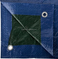 Bâches robustes 10x12Ft 3m X 4m Bâche en plastique PE de haute qualité