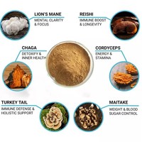 Poudre d'Extrait de Champignons Herbacés de Haute Qualité, Prix de Gros OEM, Corps Entier de Crinière de Lion, Reishi, Chaga, Wuling