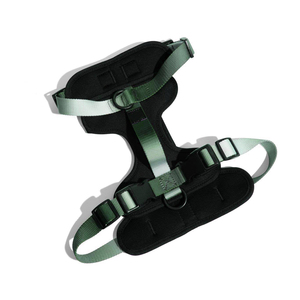 2024 Mới Có Thể Điều Chỉnh Cá Nhân Tùy Chỉnh Màu Sắc Silicone Step-Trong Không Thấm Nước PVC Tráng Vải Con Chó Khai Thác - Product Image 6