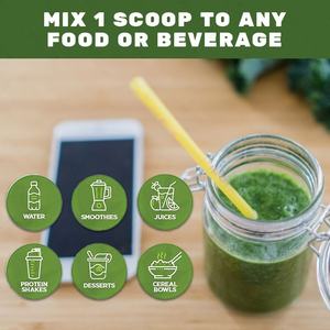 Superalimento mineral orgánico de etiqueta privada Fibra dietética Super Greens Polvo vegetal Suplemento multivitamínico completo para adultos - Product Image 4