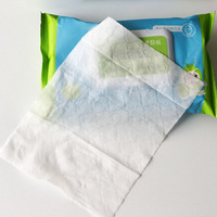 100% lingettes féminines Spunlace biodégradables jetables OEM papier toilette humide pour les femmes