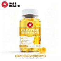 Gummies de créatine monohydrate Gabe Health – Complément alimentaire pour booster l'énergie et soutenir les muscles – Vente en gros OEM – Bonbons gélifiés végétaliens