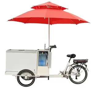 Einzelhandel Getränke kühler Fahrrad 500W Motorrad elektrisches Eis Fahrrad mit Gefrier schrank zu verkaufen