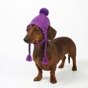 <span class=keywords><strong>Gorra</strong></span> <span class=keywords><strong>de</strong></span> béisbol <span class=keywords><strong>de</strong></span> punto personalizada al por mayor con logo, para perro, con orificios para las orejas, gorro cálido <span class=keywords><strong>de</strong></span> invierno para mascotas con pompón y borlas trenzadas, <span class=keywords><strong>gorra</strong></span> para cachorro - Product Image 1