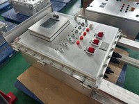 Panneau de commande d'éclairage antidéflagrant SS316L IP66 Ex Db IIB T4 Gb pour applications industrielles pétrolières et gazéifiques dans les usines chimiques