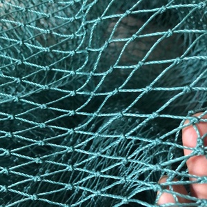 Bangladesh verde claro PE multifilamento red de pesca red de cangrejo de nailon fundido para la captura de peces y animales - Product Image 6