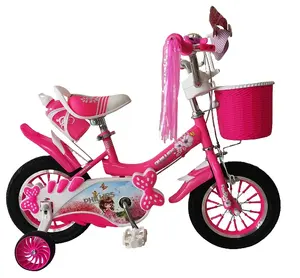 新款独特儿童自行车厂家直销单速女婴带刹车线菲利普斯儿童自行车