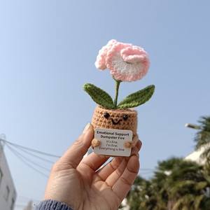 Mini Flor de Ganchillo Divertida y Positiva 2026, Regalo Emocional e Inspirador, Regalos de Agradecimiento para Mamá, Maestra, Hermana, Compañeras de Trabajo, Jefas - Product Image 4