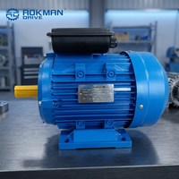 Moteur AC monophasé haute efficacité 1HP 2HP, personnalisation OEM disponible