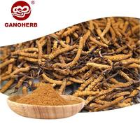 GANOHERB Extraits de Plantes Biologiques Cordyceps Sinensis Militaris Extrait en Poudre Mélange Superalimentaire Compléments en Poudre