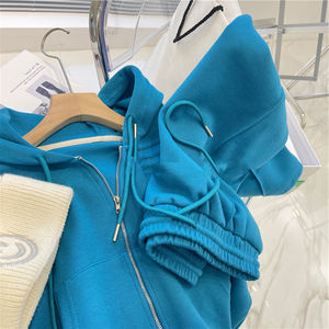 Ricamare felpa abito <span class=keywords><strong>tuta</strong></span> cerniera giacca felpa con cappuccio donna Casual <span class=keywords><strong>vestito</strong></span> da bambino Set da Jogger personalizzato in due pezzi abbigliamento da salotto - Product Image 2