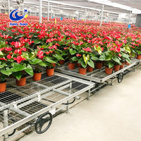 Bac de culture en treillis soudé robuste, système de bancs mobiles sur roulettes pour plantes médicinales et herbes en serre