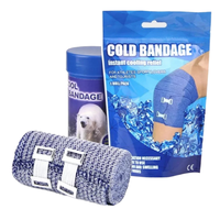 Bandage élastique rafraîchissant pour premiers secours sportifs et soins à domicile, consommables médicaux certifiés CE ISO Classe I