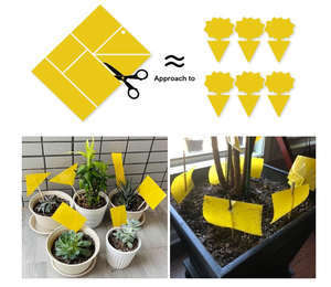 กับดักเหนียวสำหรับพืชสองด้านกับดักเหนียวสำหรับตัวริ้นที่มีความสัมพันธ์แบบบิดกับดักแมลงวันแมลงผลไม้แมลงเชื้อราในร่มกลางแจ้ง - Product Image 4