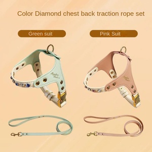 Arnés de Lujo para Perro, Diseño Deportivo y de Moda, Personalizado, con Patrón Sólido, Impermeable, Transpirable, con Cinta de PU - Product Image 2