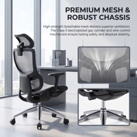 Chaise de bureau ergonomique pivotante en maille avec accoudoirs réglables, cadre en nylon, base en alliage d'aluminium, design moderne, réglable et pivotante