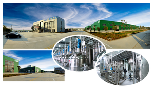 Premium atkuyruğu özü tozu <span class=keywords><strong>7%</strong></span> silika | Gıda sınıfı organik Equisetum Arvense tozu | Doğal saç, cilt ve kemik desteği - Product Image 5