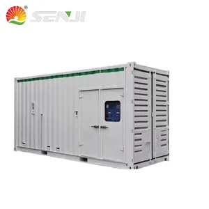 Senji nouvelle Eenrgy énergie renouvelable électrique ESS conteneur batterie de stockage 1MWH 2MWH 3MWH 5MWH 10MWH 15MWH