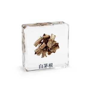 Colección de hierbas chinas, hierba china, resina, espécimen de insectos, Juguetes diy, regalo creativo - Product Image 4