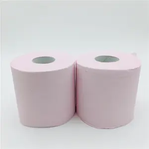 CYGURT Pink Toilet Paper，Toilet Roll，Fucsia Paper (Pack of 4 Roll)