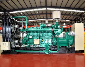 CHP 300kw 400kw 500kw الغاز الطبيعي الكتلة الحيوية محرك الغاز البيولوجي مولد الطاقة