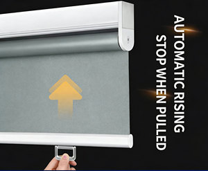 Stores à rouleaux semi-automatiques à ressort : <span class=keywords><strong>Protection</strong></span> <span class=keywords><strong>solaire</strong></span> et ombrage pour bureaux - Product Image 3