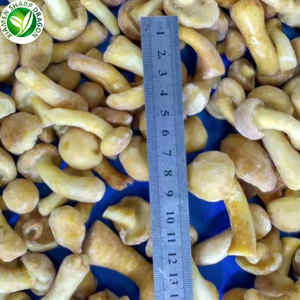 Замороженные грибы плавертус ostreatus для здорового питания IQF - Product Image 6