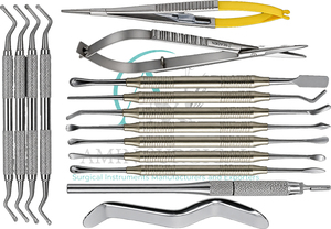 Kit de Instrumentos Quirúrgicos Dentales Profesionales de Acero Inoxidable, para Cirugía Periodontal y Oral, Manual, Multipiezas, Más Vendido - Product Image 2