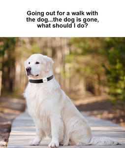 <span class=keywords><strong>Pet</strong></span> Chống-Mất Theo Dõi Thiết Bị Thời Gian Thực Mèo <span class=keywords><strong>Pet</strong></span> <span class=keywords><strong>Tracker</strong></span> Thiết Bị Mini Di Động Vật Nuôi Công Cụ Tìm 4G GPS Định Vị Con Chó Mèo Airtag <span class=keywords><strong>Tracker</strong></span> - Product Image 6