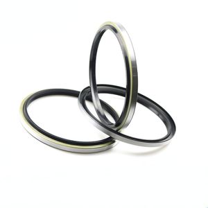 Ventes directes d'usine en Chine de joint d'huile de haute qualité 140*160*10/14 DKB - Product Image 5