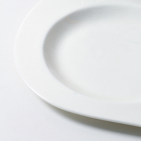 Assiette de Dîner en Porcelaine Fine Blanche pour Restaurant, Assiette à Dessert Personnalisée pour Hôtel – Offre Spéciale
