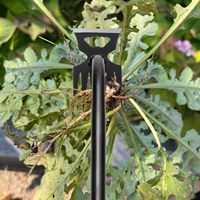 Utensili da giardino in acciaio fai da te 2-in-1 con impugnatura lunga zappa e timone per diserbo giardinaggio e impianto di supporto OEM personalizzabile