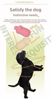 Jouets pour chiens interactifs de grande taille, colorés, résistants à l'usure, en caoutchouc biodégradable, écologiques, pour l'entraînement en plein air