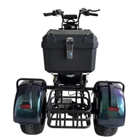 Scooter Eléctrico de Dos Ruedas sin Escobillas de 2000 W, 10 Pulgadas, Batería de Litio de 20 Ah/40 Ah, Plegable, Impermeable, para Uso Urbano para Adultos