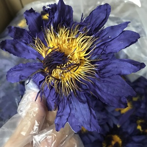 Thé de santé aux herbes chinoises HO4009 Lan Lian Hua, 10g/sachet, emballage sous vide, fleurs séchées, <span class=keywords><strong>lotus</strong></span> bleu, fait main - Product Image 1