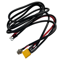 Câbles de charge USB A/C personnalisés, faisceau de câbles à âme en cuivre avec longueur et couleur sur mesure pour usage électronique
