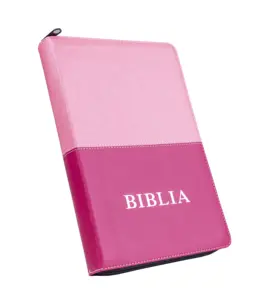 工厂专业制造商批发定制Pu皮革西班牙烫印印刷服务书圣经