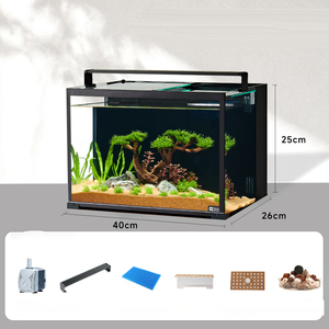 Best Sellers Glass Tabletop <strong>Fish</strong> <strong>tank</strong> with Ultra-white Back Filter <strong>Small</strong> Ecological Tabletop Landscape <strong>tank</strong> Glass for Household - Product Image 6