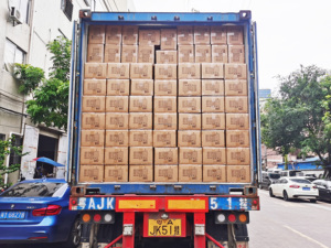 Greencolor Premium <span class=keywords><strong>113</strong></span> Cartouche d'encre pigmentée compatible avec l'imprimante <span class=keywords><strong>EPSON</strong></span> <span class=keywords><strong>EcoTank</strong></span> ET-5170/5800/5880/5850/16650/16600/ST-C8000 - Product Image 6