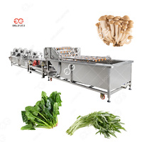 1000 Kg/u Complete Automatische Fruit Onderdompeling Wasmachine Bunching Groente Gedroogde Fruit Frituur Nieuwe Plc Motor