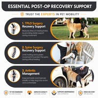 Harnais de Soutien Ergonomique pour Chien, en Polyester Durable et Respirant, pour la Rééducation de la Colonne Vertébrale et la Récupération de la Maladie Intervertebrale Discale (IVDD), Marque Personnalisée