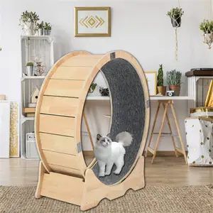 Ruota di gatto grande per gatti da interno gatto che corre facile assemblata a prova di umidità piccolo tapis roulant