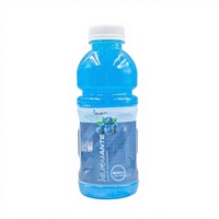 Fabricant de boissons électrolytiques 500ml, prix de gros, échantillon gratuit, marque privée, OEM, ODM, boisson énergétique fonctionnelle