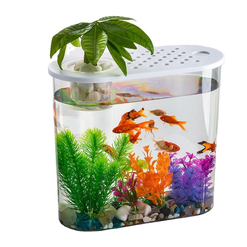 Gallon Hexagon Fish 20 Gallon Betta Community Tank Polygon